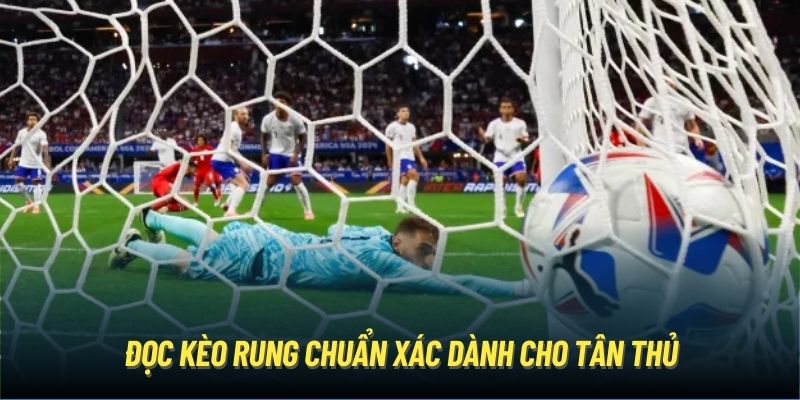 Đọc kèo rung chuẩn xác dành cho tân thủ